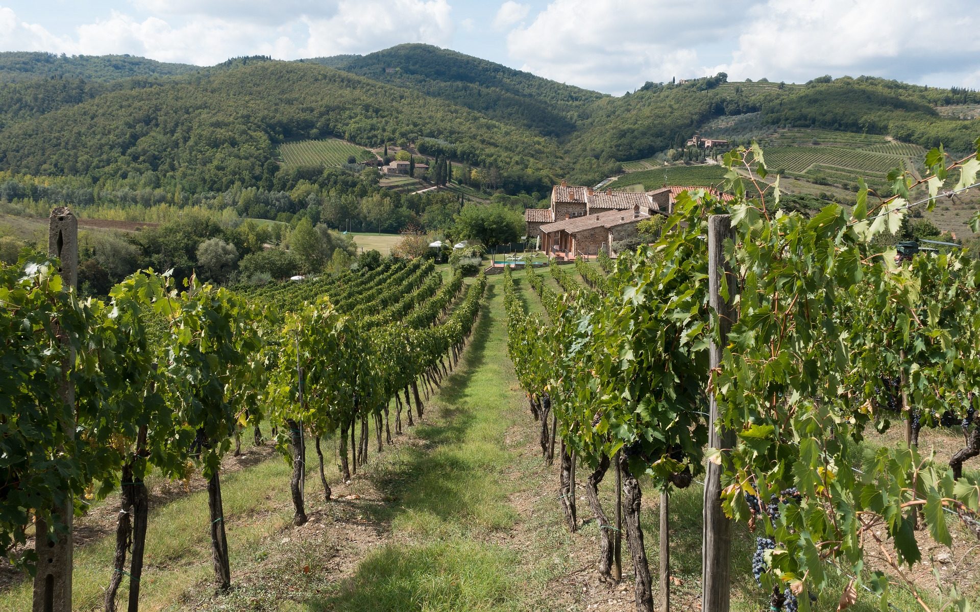 chianti