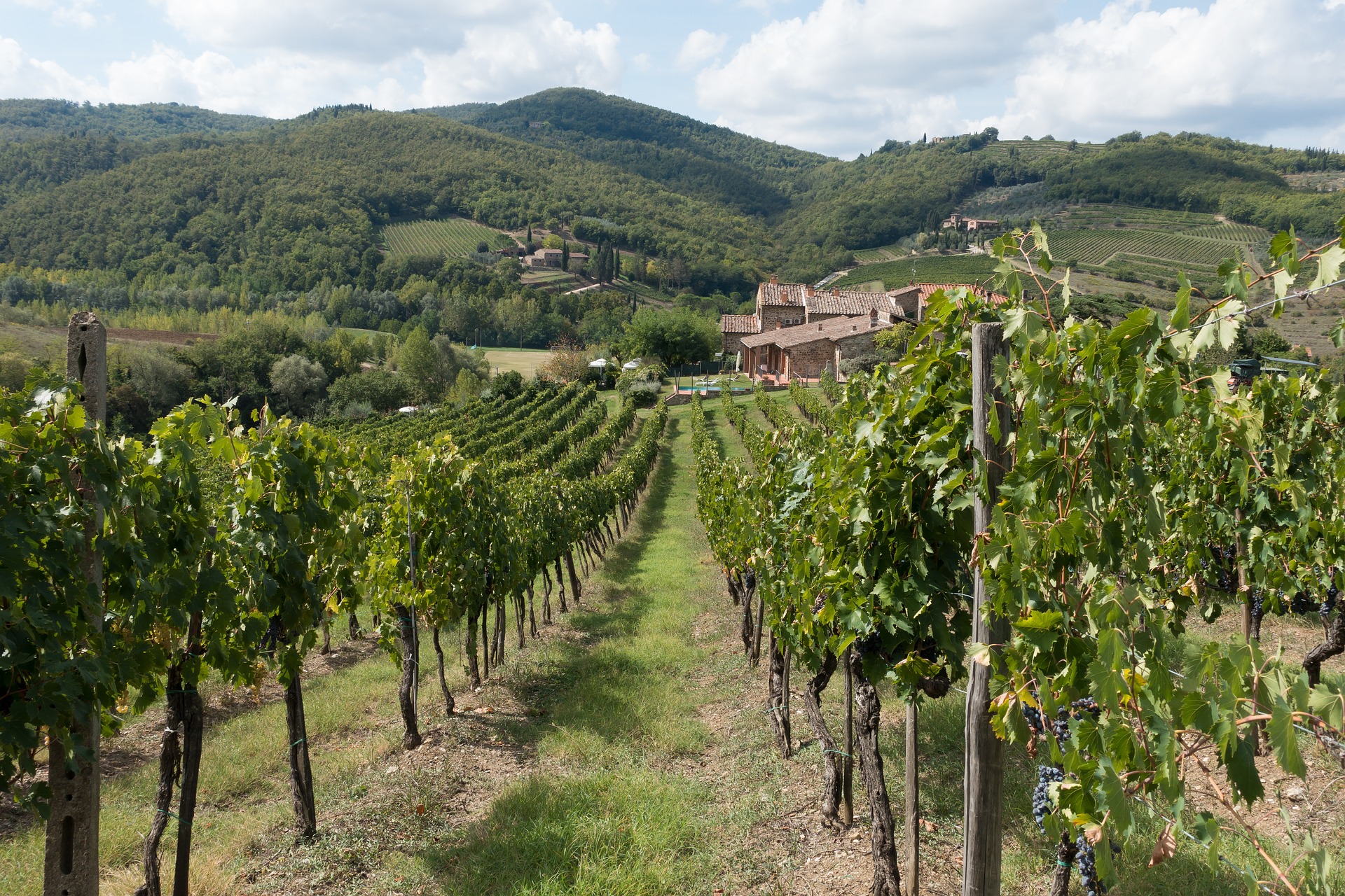 I dintorni della Capanna delle Cozzole