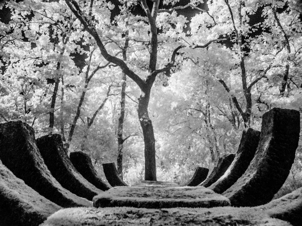 Il parco Sculture del Chianti
